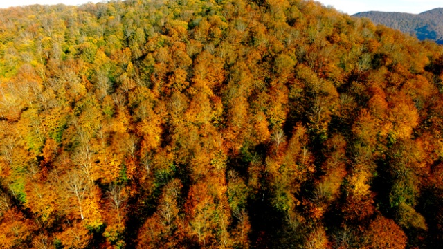 Nebiyan Dağı'nda sonbahar manzaraları