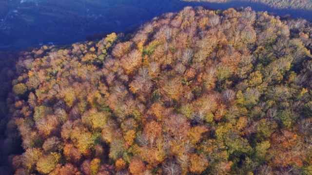 Nebiyan Dağı'nda sonbahar manzaraları