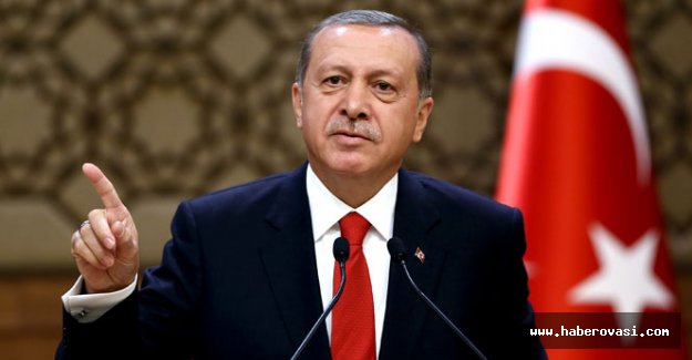 Cumhurbaşkanı ERDOĞAN 'Bunlar yavru Gezicilerdir'