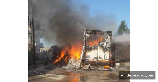 Yol kesen PKK'lılar araçları yaktı
