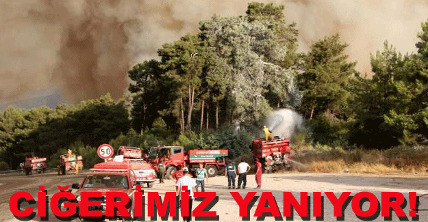 Ciğerimiz yanıyor!