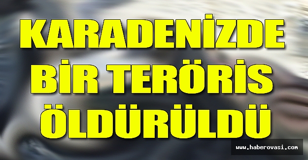 Giresun'da 1 terörist öldürüldü!