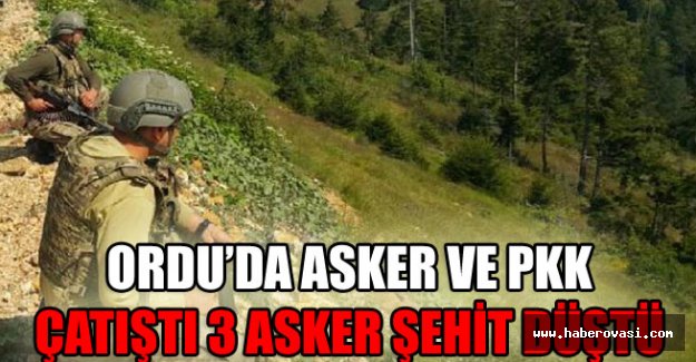 ORDU’DA ASKER VE PKK ÇATIŞTI 3 ASKER ŞEHİT DÜŞTÜ