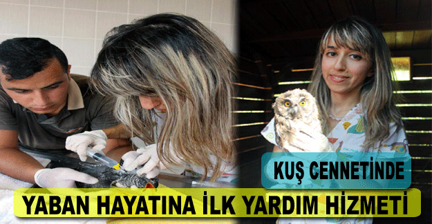 Kuş cennetinde yaban hayatına ilk yardım hizmeti