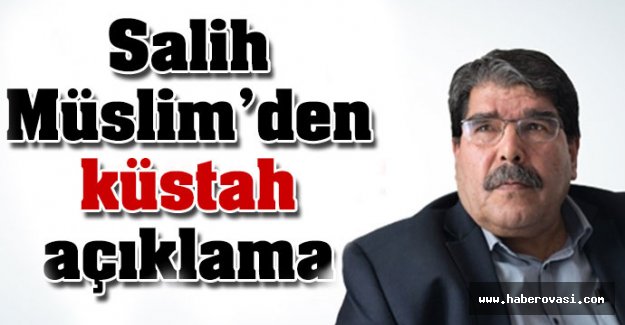 PYD lideri Salih Müslim'den küstah açıklama
