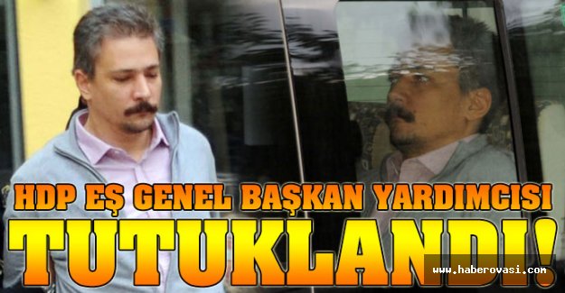 HDP Eş Genel Başkan Yardımcısı tutuklandı!