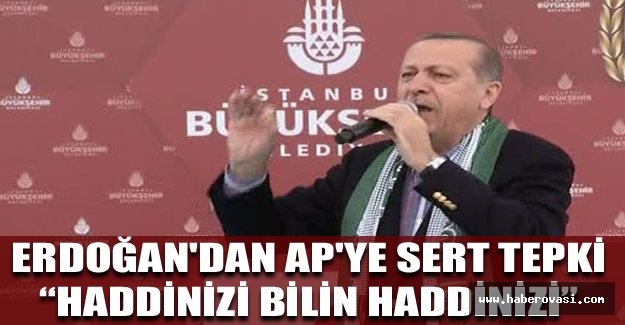 ERDOĞAN'DAN AP'YE SERT TEPKİ