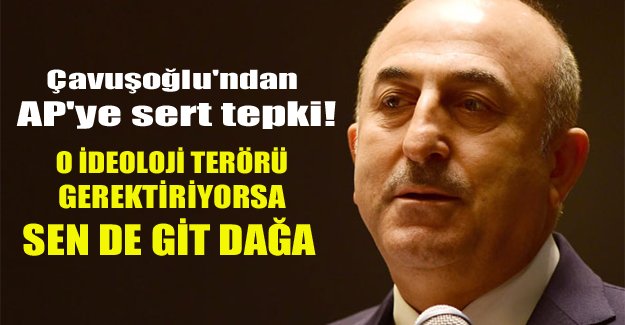 Çavuşoğlu AP'ye sert çıktı.