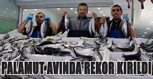 Palamut avında bu sezon rekor kırıldı