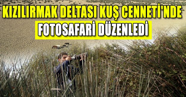 Kızılırmak Deltası Kuş Cenneti'nde fotosafari