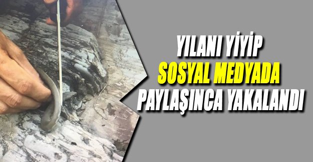 Yılanı yiyip sosyal medyada paylaşınca yakalandı