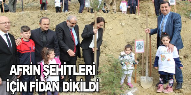 Havza'da Afrin şehitleri için fidan dikildi