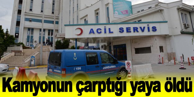 Kamyonun çarptığı yaya öldü