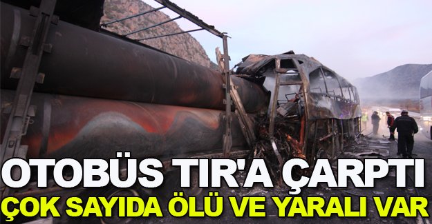 Trafik Kazası, çok sayıda ölü ve yaralı var