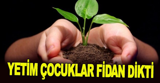 Yetim çocuklar fidan dikti