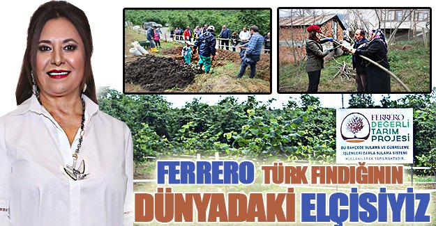 Ferrero : Türk fındığının dünyadaki elçisiyiz