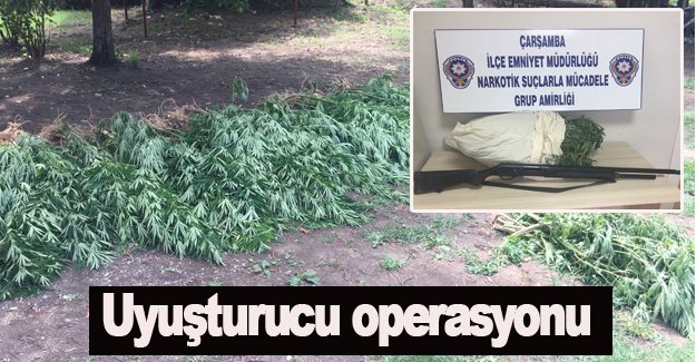 Çarşamba'da uyuşturucu operasyonu