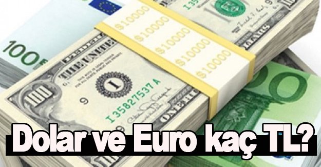 Dolar ve Euro'da son durum