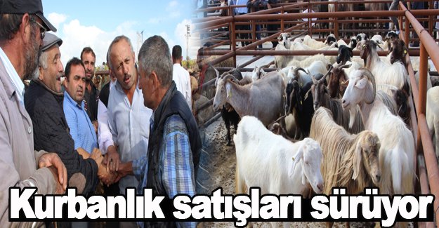 Kurbanlık satışları sürüyor