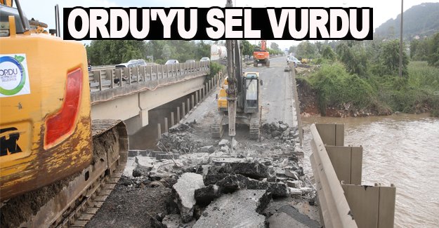 Ordu'da sel felaketi