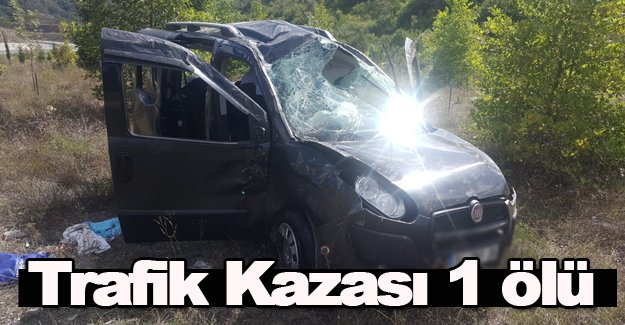 Trafik Kazası 1 ölü, 1 yaralı