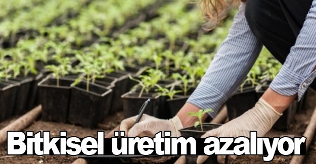 Bitkisel üretim azalıyor