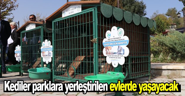 Kediler parklara yerleştirilen evlerde yaşayacak