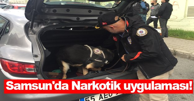 Samsun'da narkotik uygulaması 2 gözaltı