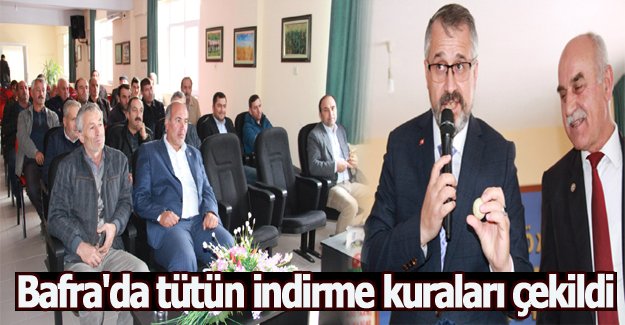 Bafra'da tütün indirme kuraları çekildi