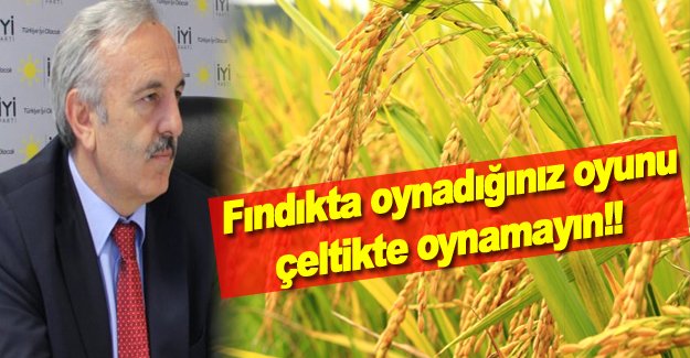 Fındıkta oynadığınız oyunu çeltikte oynamayın!!