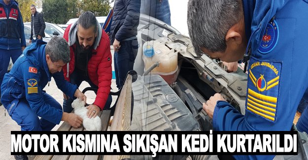 Polis aracının motor kısmına sıkışan kedi kurtarıldı