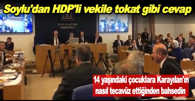 Soylu'dan HDP'li vekile tokat gibi cevap