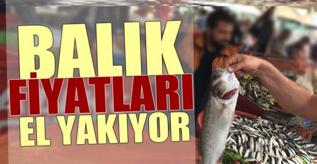 Samsun'da Balık fiyatları el yakıyor