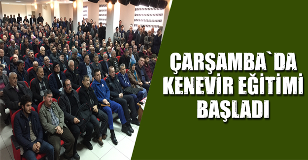 Çarşamba'da çiftçilere "kenevir" başaladı