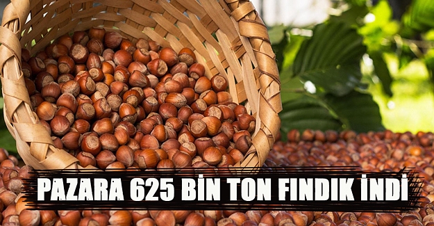 PAZARA 625 BİN TON FINDIK İNDİ