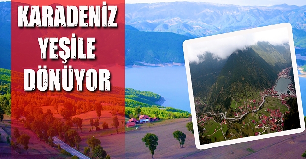 Karadeniz Yeşile dönüyor!