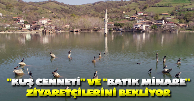 Kuş cenneti ve batık minare ziyaretçilerini bekliyor