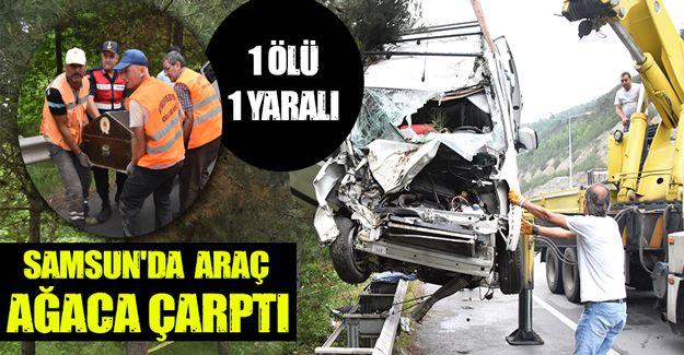 Samsun'da hafif ticari araç ağaca çarptı
