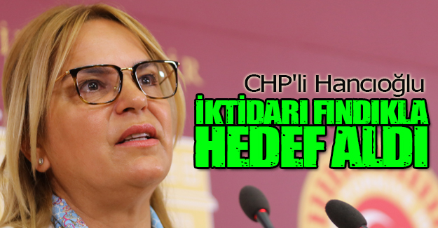 CHP'li Hancıoğlu iktidarı fındıkla hedef aldı