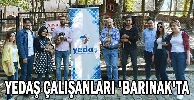 Yedaş Çalışanları 'Barınak'ta