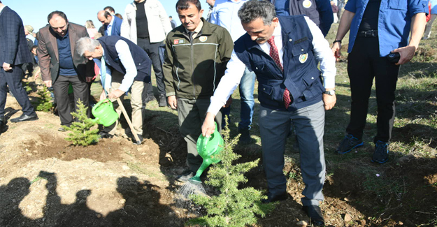 11 Milyon Ağaç, Bugün Fidan Yarın Nefes