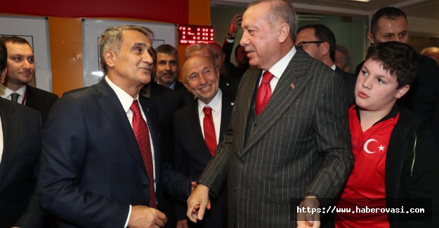 Erdoğan, Türkiye-İzlanda maçını izledi