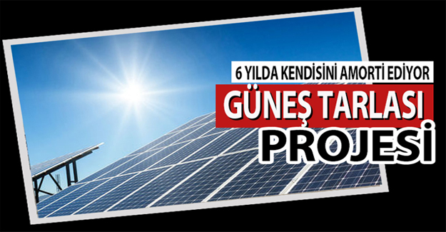 Bafra Belediyesi Güneş Tarlası İçin Adımlarını Sıklaştırıyor