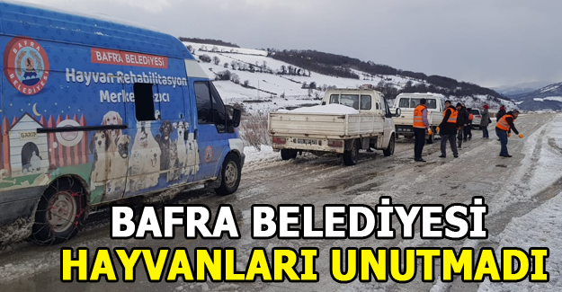 Bafra Belediyesi Hayvanları unutmadı.