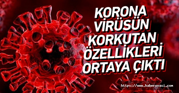 Korona virüsün korkutan özellikleri