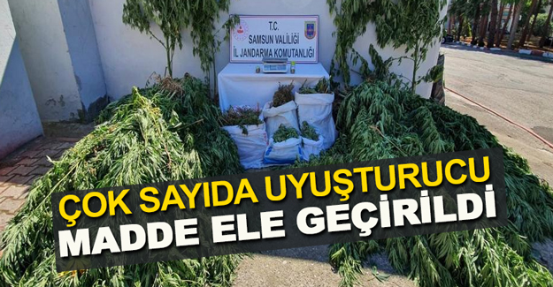 Samsun'da Eş zamanlı esrar operasonu