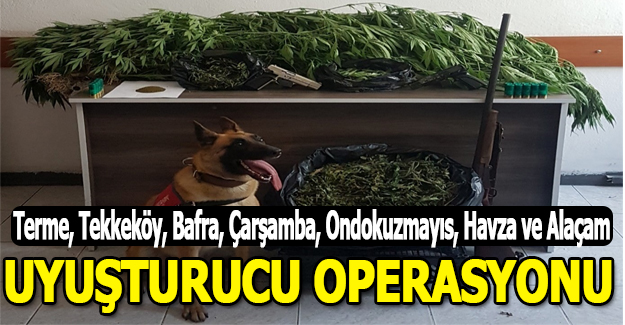 Samsun ilçelerinde uyuşturucu Operasyonu