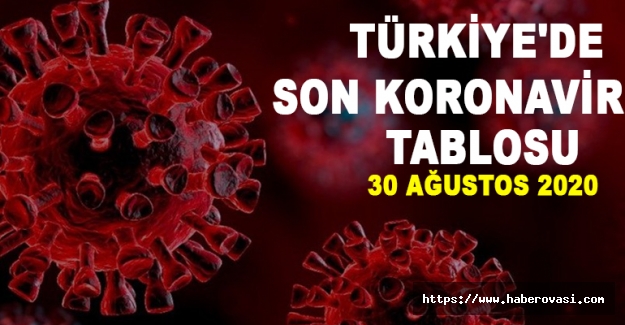 Türkiye'de son koronavirüs tablosu