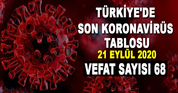 Türkiye'de koronavirüsten 68 kişi öldü