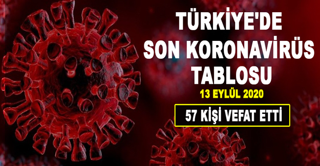 Türkiye Güncel Korona Virüs Tablosu